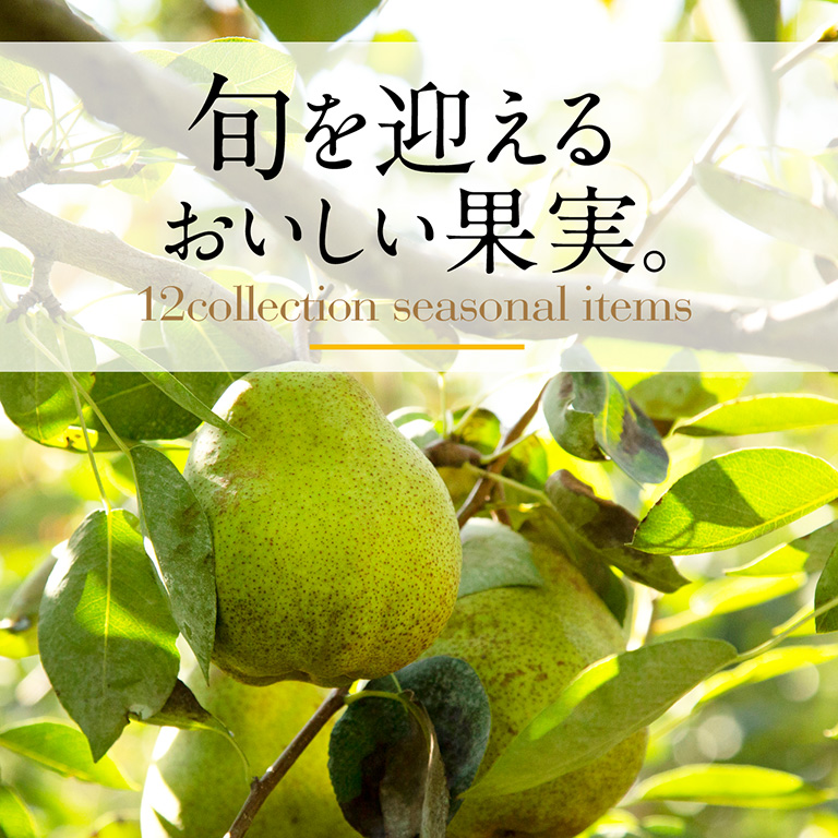 旬を迎えるおいしい果実