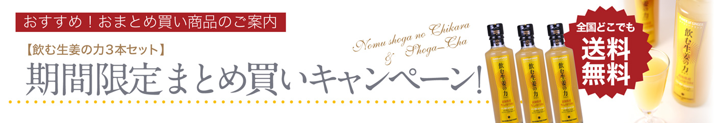 セゾンファクトリー 生姜ショップ Saison Factory Web Shop 旬のおいしい生姜のwebショップ セゾンファクトリー 生姜ショップ Saison Factory Web Shop 旬のおいしい生姜のwebショップ